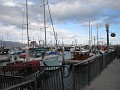 Carpinteria California 2010-02 0430